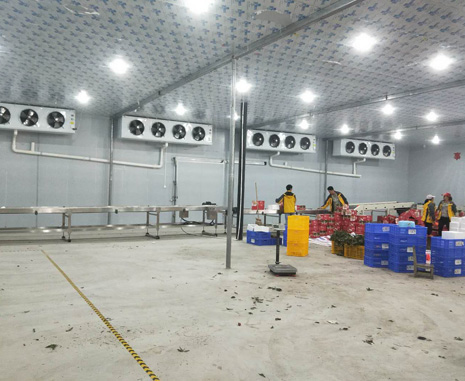 �V�|�A̩��칤��